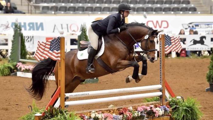 Springfield College - Equestrian