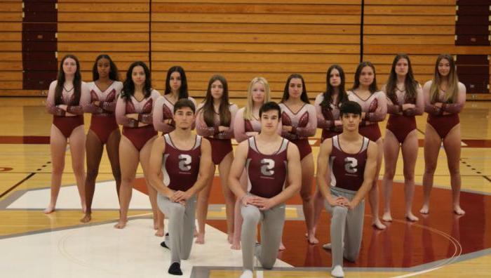 Springfield College - Gymnastics